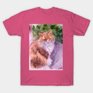 Orange fluffy kitty watercolor T-Shirt